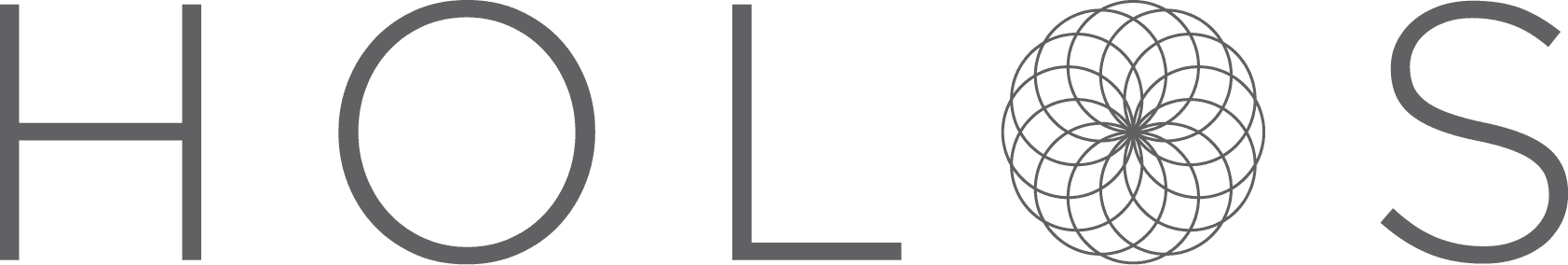 HOLOS logo — Black on light