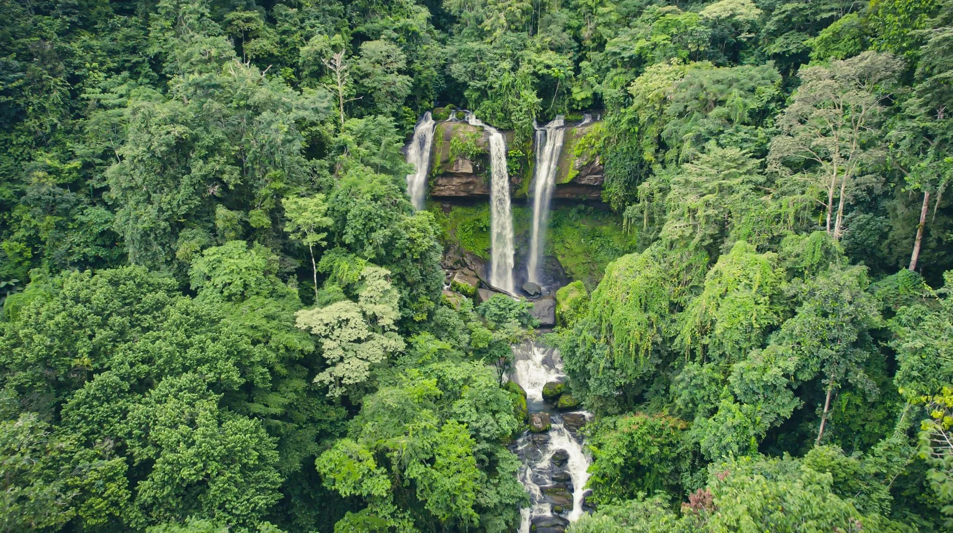 A waterfall framed in jungle
